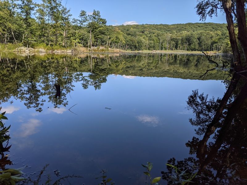 Why This Preserve Deserves More Attention