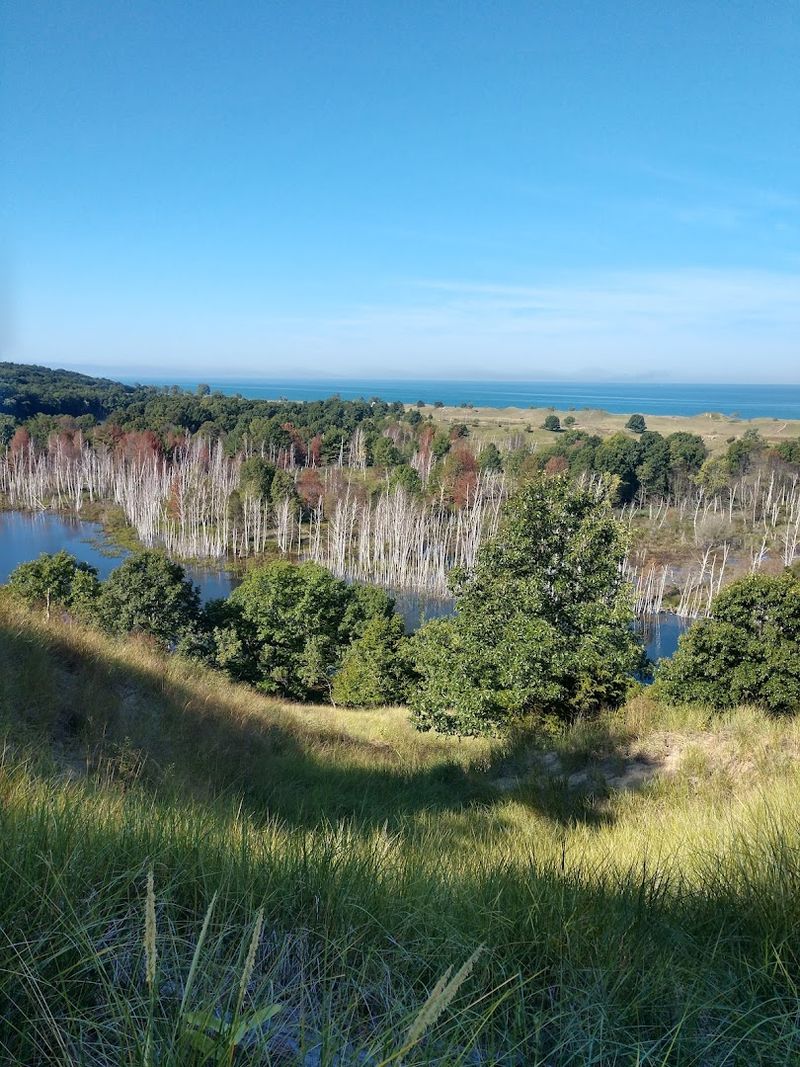 Why This Preserve Deserves More Attention