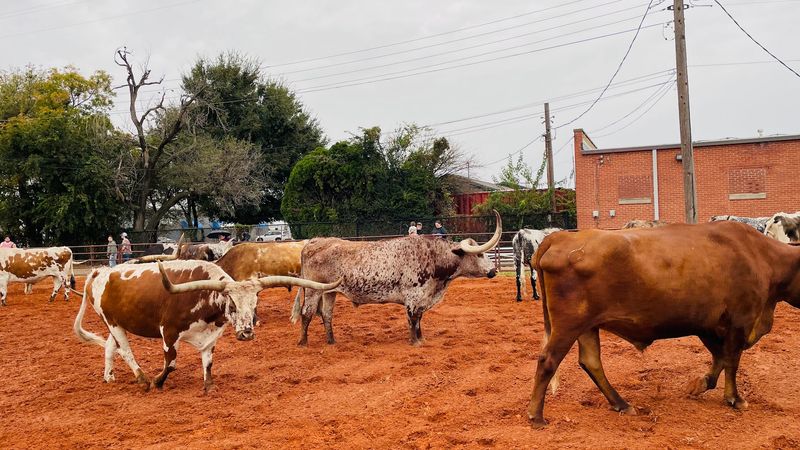 Why This Place Matters Beyond the Business