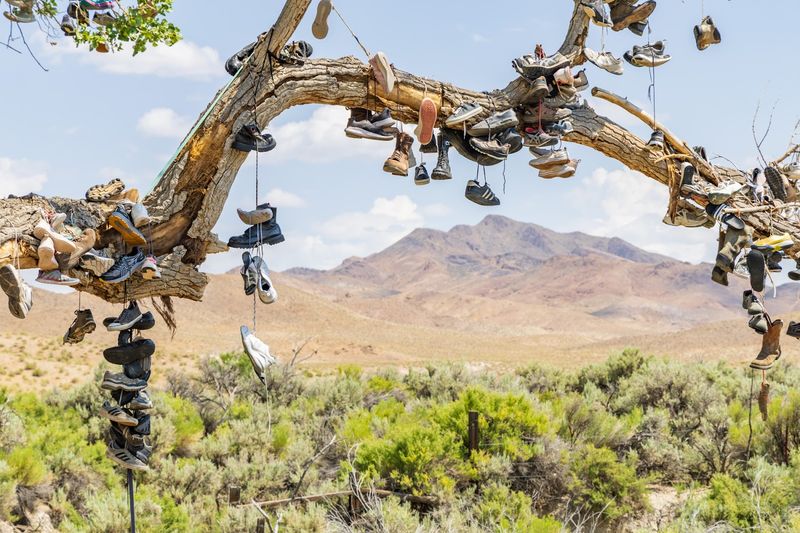 The Wild Horses That Sometimes Share the Scene