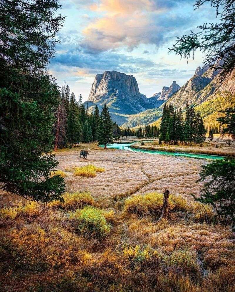 Wildlife You Might Share the Trail With