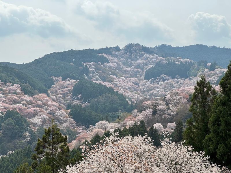 Mount Yoshino (Nara), Japan