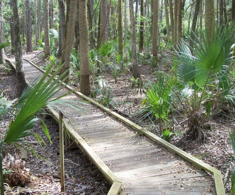 Hontoon Island State Park Trails