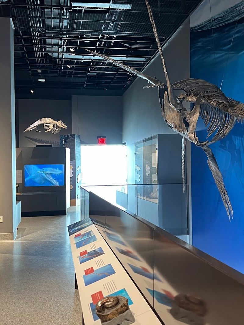 Gems, Crystals, and Minerals That Will Leave You Speechless