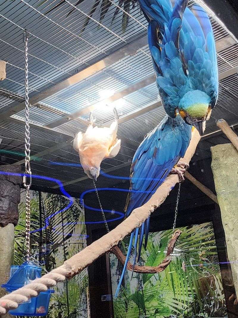 Surprise Animals That Nobody Expects to Find