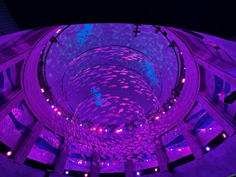 Kaleidoscope Cove: The Kids' Area Gets a Major Upgrade