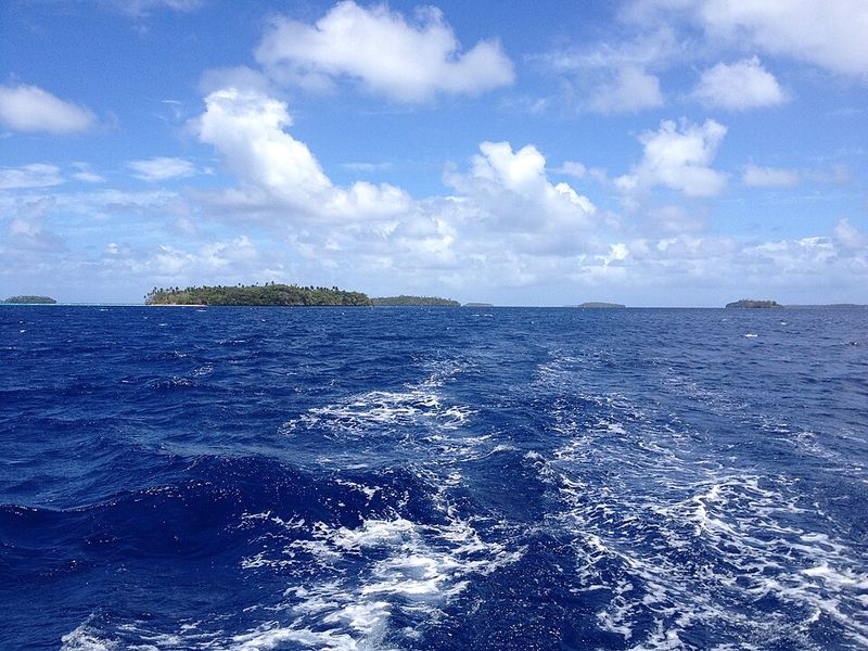 The Pristine Coral Reefs and Marine Life
