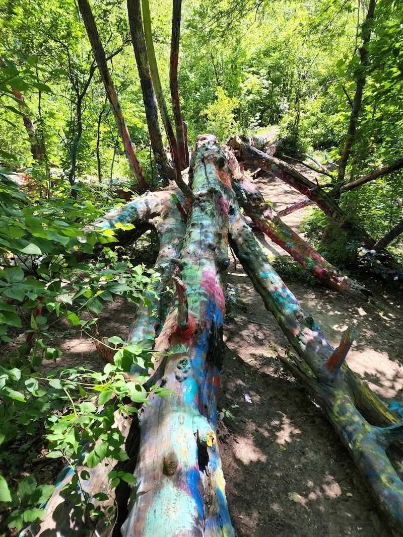 Photography at the Hippie Tree: Tips for Getting Great Shots