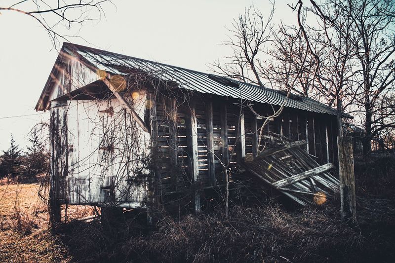 The History Buried Beneath the Trails