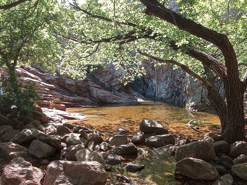 Swimming and Relaxing at the Base