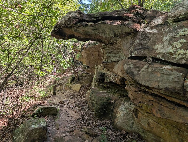 The Falls Trail Experience: Worth Every Rocky Step