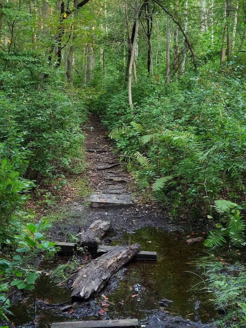 Hidden Creek Trail: A Quiet Route Worth Following
