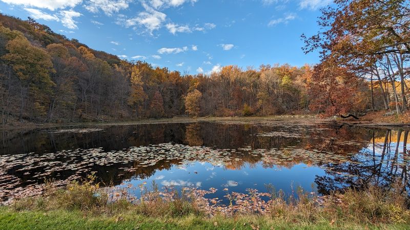 Ghost Lake: The Quiet Heart of the Forest