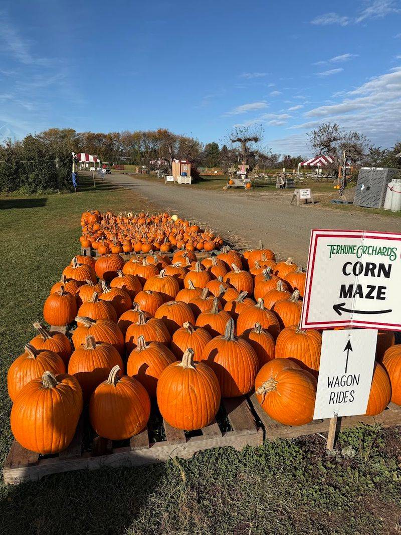 Festival Season Done Well