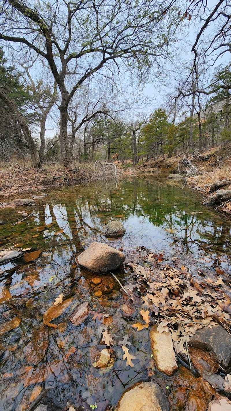 The Stream and the Rocky Landscape Beyond