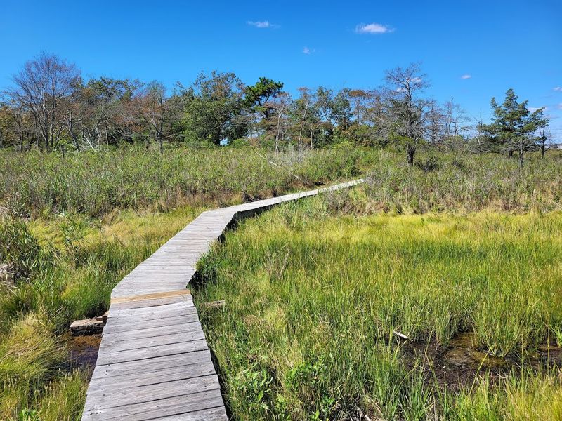 Boardwalks and Bay Views