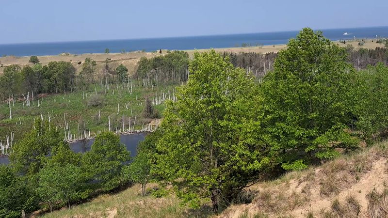Birdwatching in the Canopy