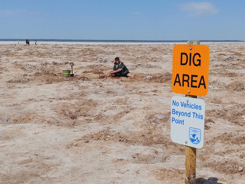 Best Time of Year to Visit