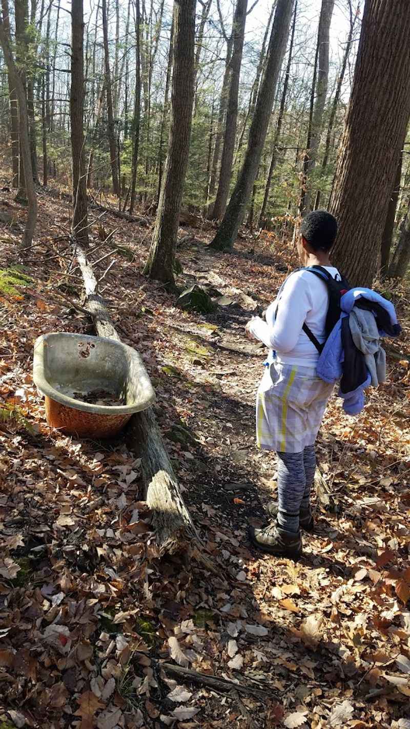 Fall Foliage and the Perfect Drive Out