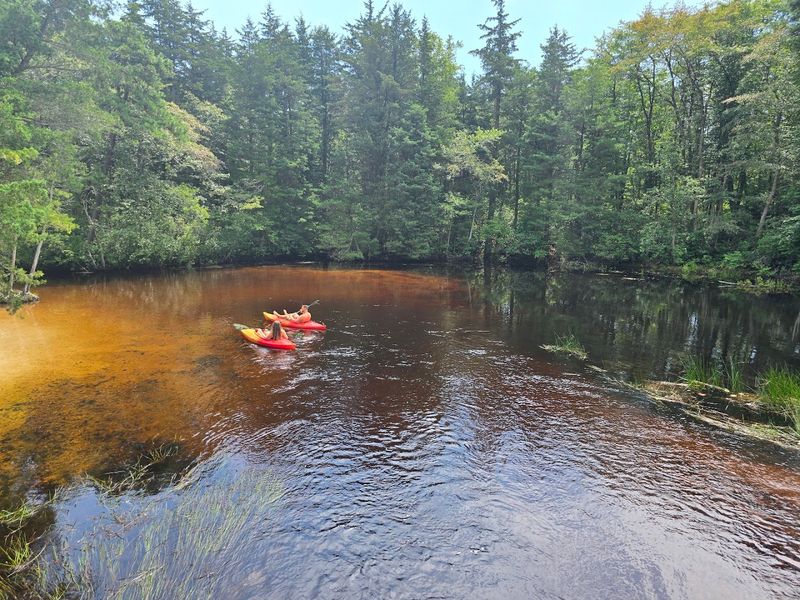 Cedar Creek and Water Activities