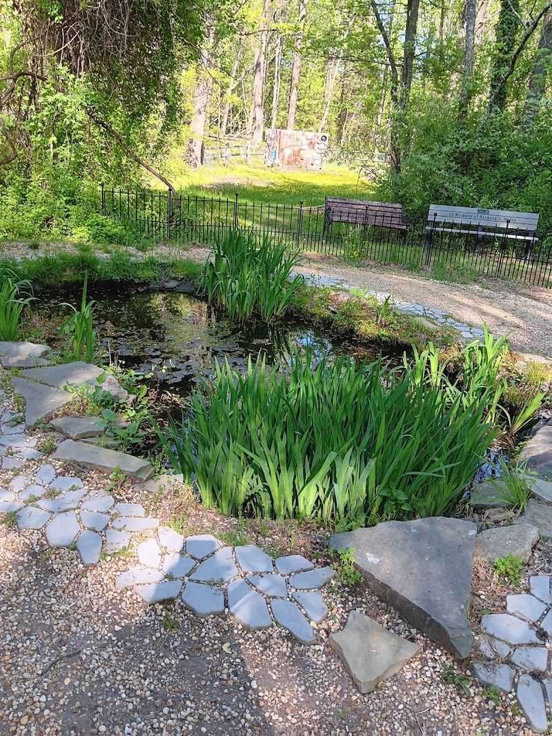 The Frog Ponds and Creek That Kids Cannot Get Enough Of