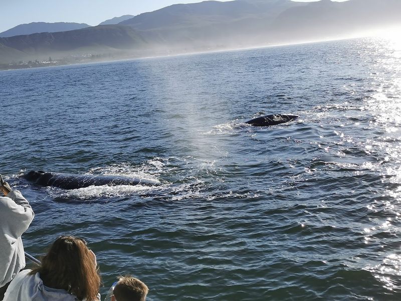 Hermanus and Walker Bay, South Africa