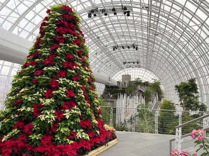 Seasonal Events and Festivals That Transform the Gardens