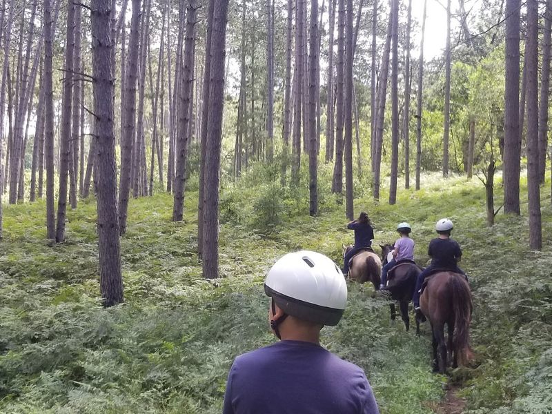 Where the escape begins