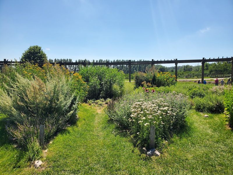 The Herb Garden at the Center: A Surprise Within a Surprise