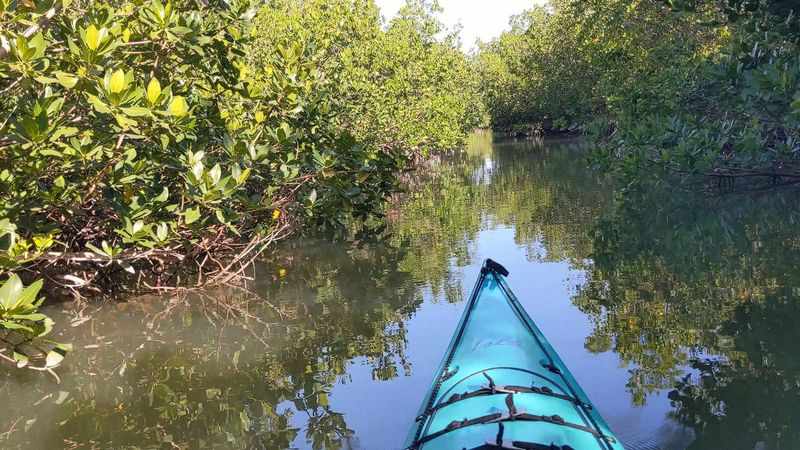 Curry Hammock State Park