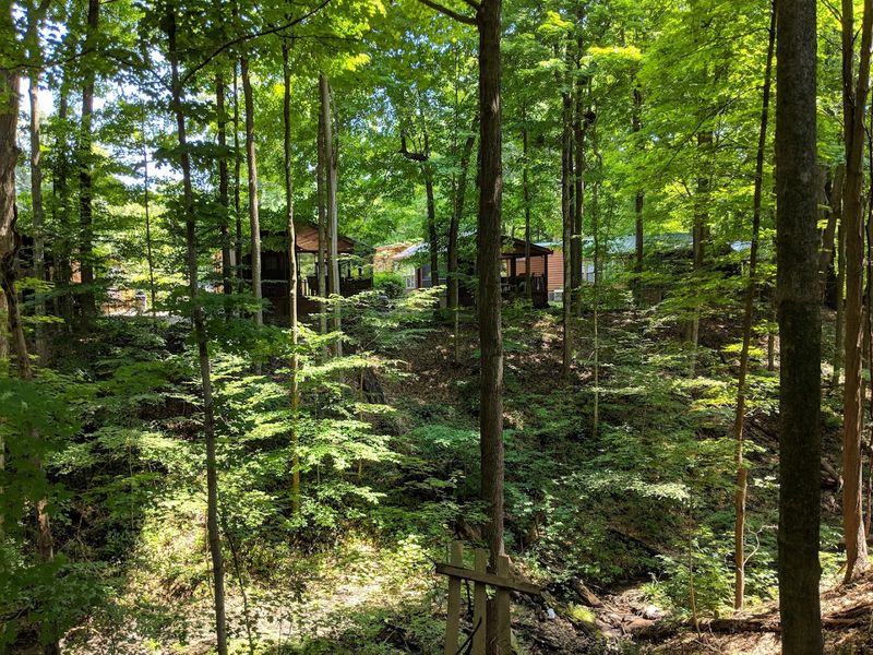 Hiking, Biking, and the 110-Acre Woodland That Surrounds Everything