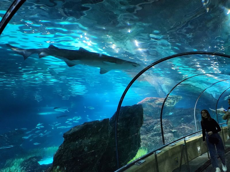 L'Aquàrium de Barcelona — Barcelona, Spain