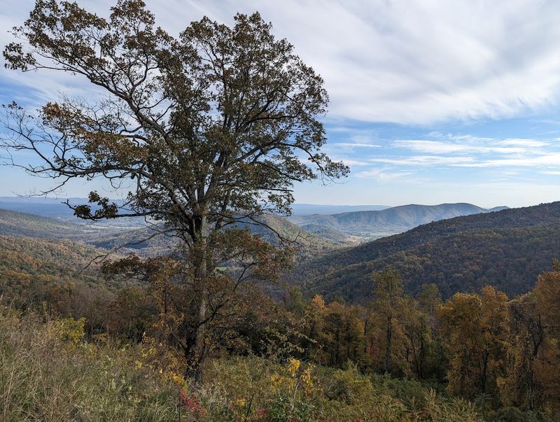Skyline Drive (Virginia, USA)