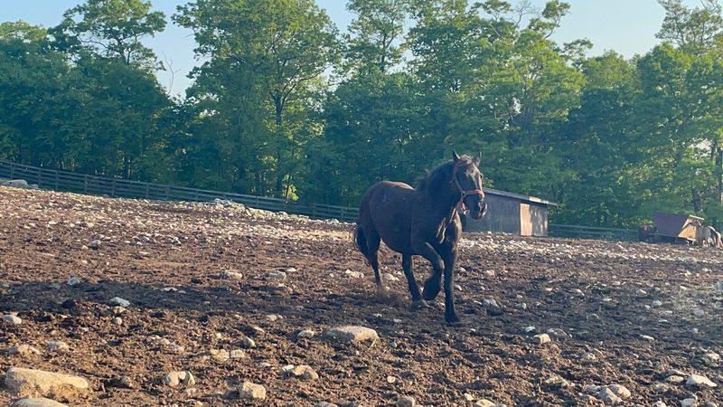 Why It Keeps Getting Recommended