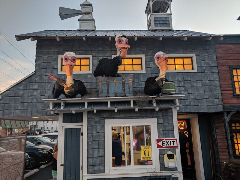 Why Families Keep Coming Back Year After Year