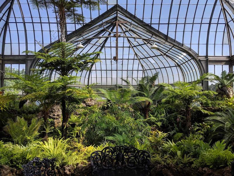 A compact jungle with range