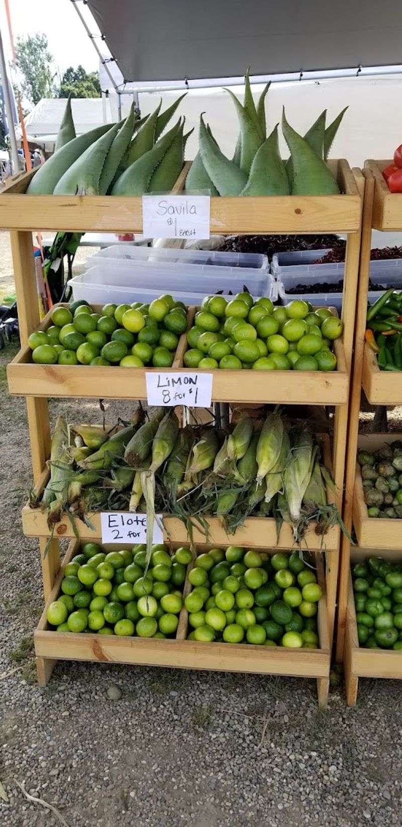 Plants, Garden Supplies, and Nursery Finds