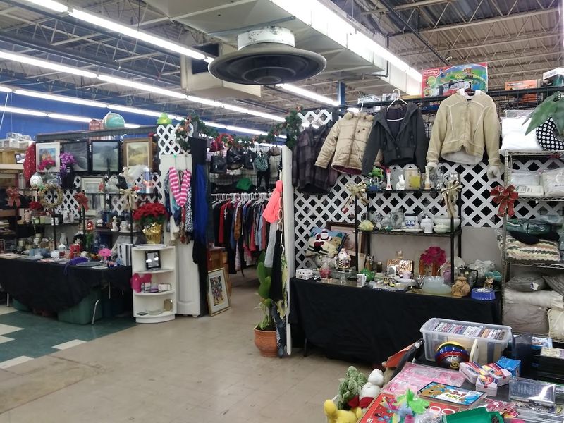 Clothing, Costumes, and Outfits You Did Not Know You Needed