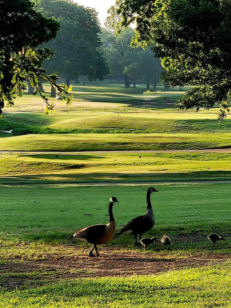 Tips for Getting the Most Out of Your Visit