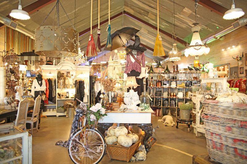 The HGTV Connection and Pop Culture Fame