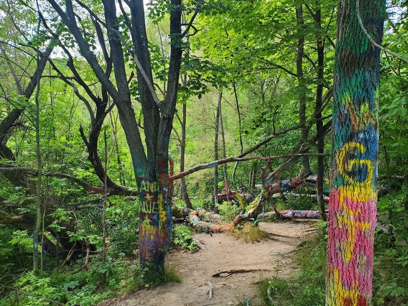 The Broader Trail Network: More to Explore Nearby