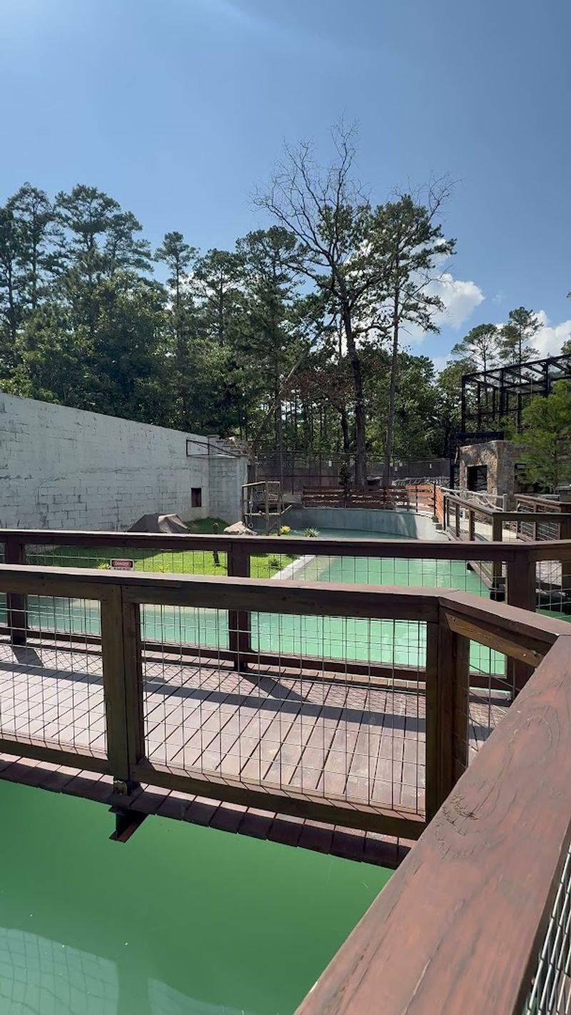 Planning Your Visit and Practical Tips