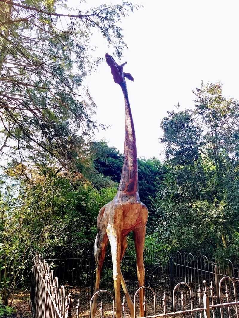 Practical Tips for Getting the Most Out of Your Visit