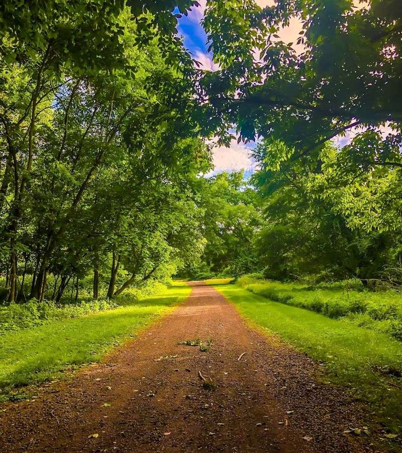 Best Times of Year to Go