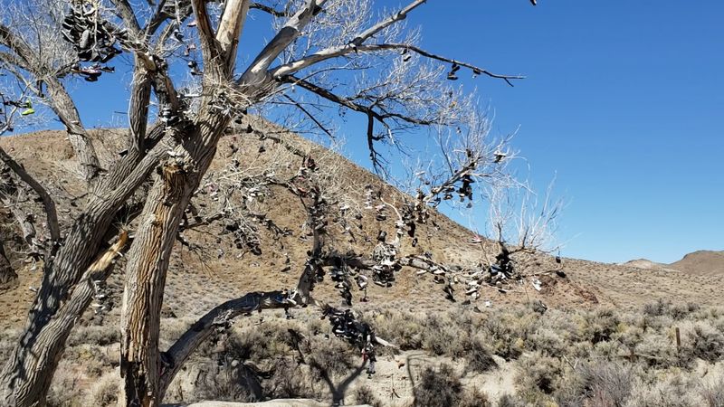 Where Exactly You Will Find This Legendary Spot