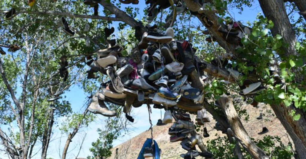 Visitors Keep Adding Shoes to This Legendary Tree in Middlegate, Nevada