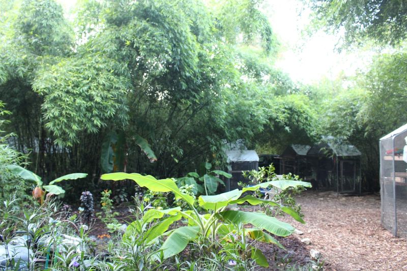 Donating to the Sanctuary: Every Bit Counts