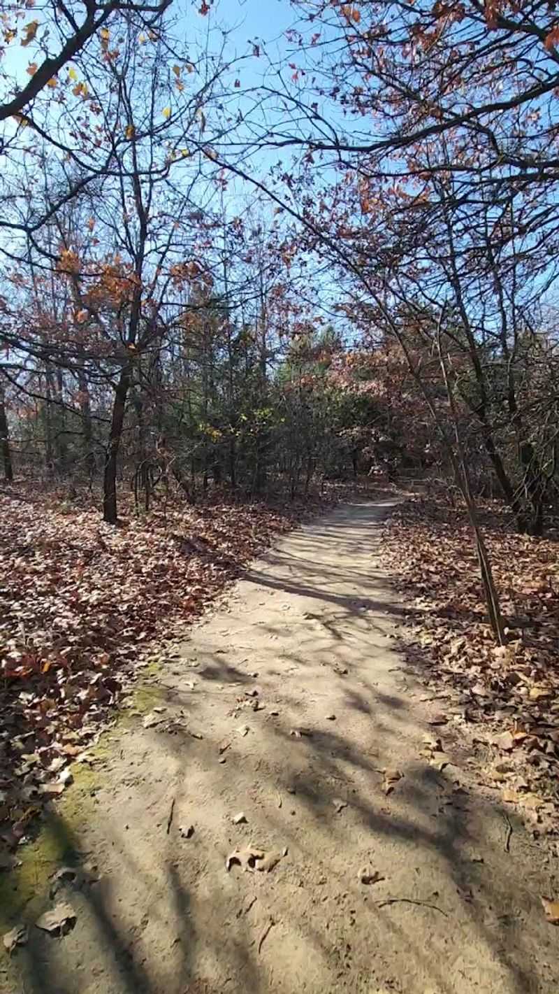 Family-Friendly Features and Accessibility Options