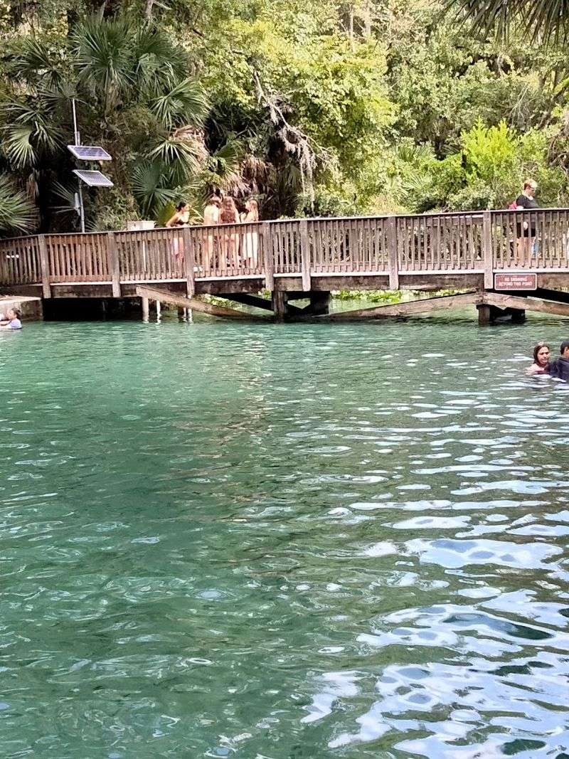 Wekiwa Springs