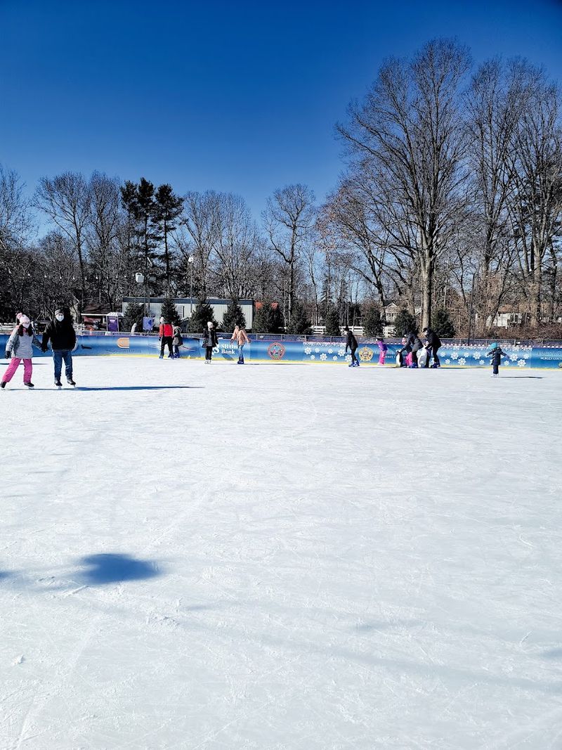 Winter at the Park: Cold Weather Does Not Slow Things Down